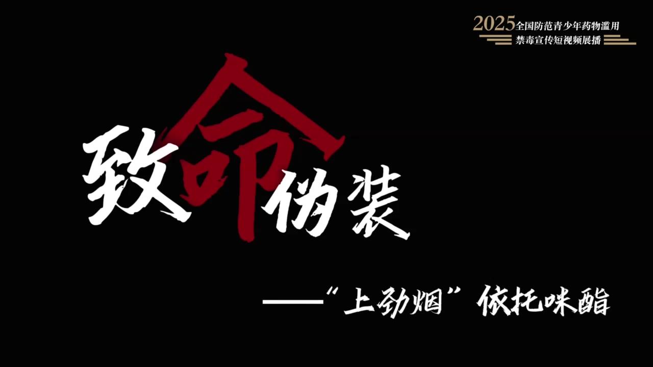 《致命伪装》