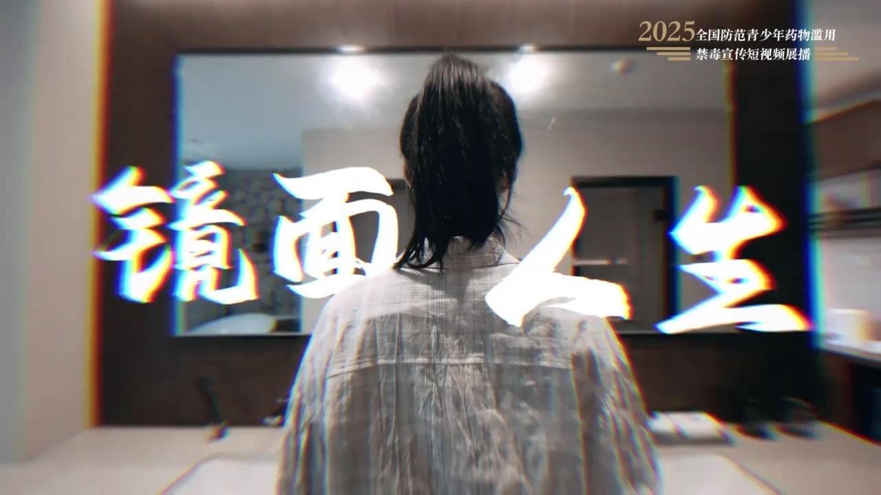《镜面人生》